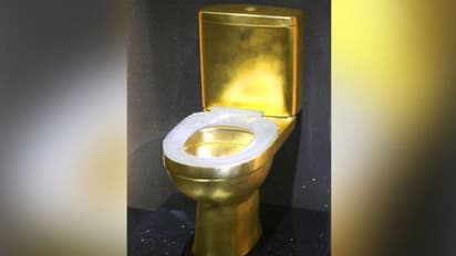 ആഹാ, അന്തസ്സ്; സ്വര്‍ണ്ണവും വജ്രവും കൊണ്ട് നിര്‍മ്മിച്ച 'റോയല്‍ ക്ലോസറ്റ്'