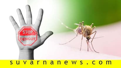 Fact Check: ಕೊಬ್ಬರಿ ಎಣ್ಣೆಯನ್ನು ಕಾಲಿಗೆ ಹಚ್ಚೋದ್ರಿಂದ ಡೆಂಘೀ ಹರಡಲ್ಲ!