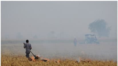 ദില്ലി അന്തരീക്ഷ മലിനീകരണം: പാടത്ത് തീയിട്ടതിന് പഞ്ചാബിൽ 80 കർഷകരെ  പൊലീസ് അറസ്റ്റ് ചെയ്തു