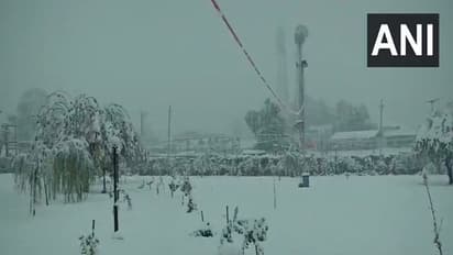 ಸಿಯಾಚಿನ್ ಹಿಮಪಾತದಲ್ಲಿ ಸಿಲುಕಿಕೊಂಡ 8 ಯೋಧರು