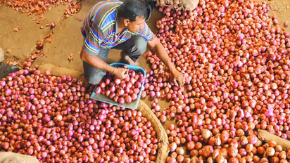 கல்லா நிறைய பணமிருந்தும் கைவைக்கவில்லை...  வெங்காயத்தை அள்ளிச் சென்ற திருடர்கள்!
