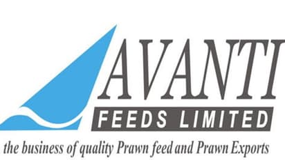 అవంతి అగ్రో ఫీడ్స్ కంపెనీపై ఐటీ దాడులు