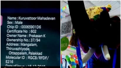 ആനയ്ക്കും ആധാര്, പദ്ധതി കേരളത്തില്; ഇതുവരെ 512 നാട്ടാനകൾക്ക് ആധാർ നല്കി
