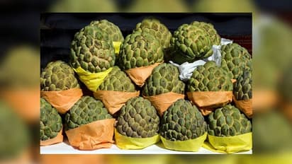 বদহজম থেকে ক্যানসার প্রতিরোধ সবেতেই কার্যকরী আতা, জানুন এর গুনাগুণ