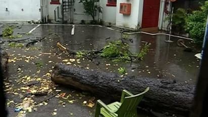 কলকাতায় গাছ পড়ে মৃত যুবক, বুলবুলের দাপটে বিকেলেই অন্ধকার শহর