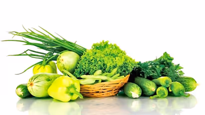 खत्म हुआ चातुर्मास, अब खा सकते हैं हरी सब्जियां, क्या है इस परंपरा के पीछे का वैज्ञानिक कारण?