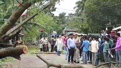 'बुलबुल' ने ली एक दर्जन लोगों की जान, 2.73 लाख परिवार प्रभावित