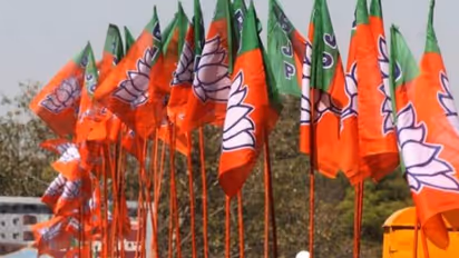 ಸ್ಥಳೀಯ ಸಂಸ್ಥೆಗಳ ಚುನಾವಣೆ: ಕೂಡ್ಲಿಗಿಯಲ್ಲಿ ಅತಂತ್ರ, ಕಂಪ್ಲಿಯಲ್ಲಿ ಅರಳಿದ ಕಮಲ