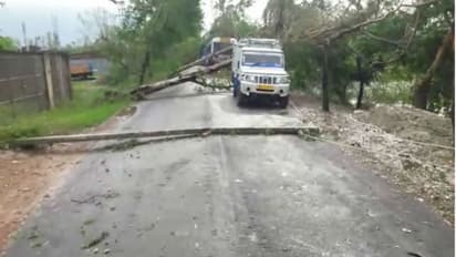 আয়লা হতে পারল না বুলবুল, আছড়ে পড়ার সময়ই বাঁচিয়ে দিল সুন্দরবনকে