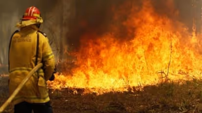 శేషాచలం అడవుల్లో కార్చిచ్చు.. దగ్ధమవుతున్న కాకులకోన..