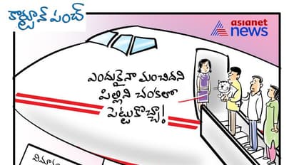 cartoon: విమానాన్ని ఆపిన చిట్టెలుక