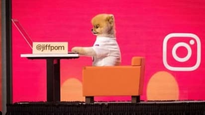 ఇక ఇన్‌స్టాగ్రామ్ లో ఫోటో  లైక్స్ కనిపించవా.....?