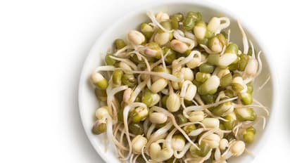 Health Tips : ദിവസവും ഒരു നേരം മുളപ്പിച്ച ചെറുപയർ കഴിക്കൂ, ഗുണങ്ങൾ ഇതൊക്കെയാണ്