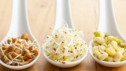 முளைகட்டிய தானியங்கள்..! உடலில் இப்படி ஒரு மாற்றத்தை ஏற்படுத்தும் தெரியுமா..?