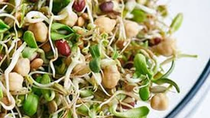 முளைகட்டிய தானியங்களில் கொட்டி கிடக்கும் சத்துக்கள்.. காலையில் எப்படி சாப்பிடணும்.. எப்படி சாப்பிடக்கூடாது..!