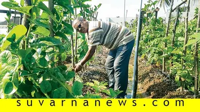 ಬಂಟ್ವಾಳದಲ್ಲಿ ಪಪ್ಪಾಯ ಫಾದರ್; ಯಾರಿದು ಗ್ರೆಗರ್ ಫಿರೇರಾ?