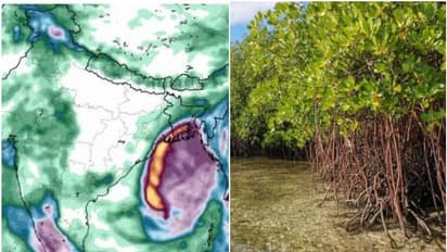 'ബുള് ബുളി'നെ തടഞ്ഞ ബംഗാളിന്റെ രക്ഷകന്; കേരളവും മറക്കരുത്, കല്ലേന് പൊക്കുടനെയും കണ്ടലിനെയും