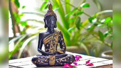 Best Quotes: ಬುದ್ಧ ಹೇಳುವುದನ್ನ ಫಾಲೋ ಮಾಡಿದರೆ ಲೈಫ್ ಬಿಂದಾಸ್!