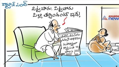 పిల్లి,కోతి కథల  "మహా" పులి రాజకీయం