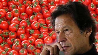 ಕಾಶ್ಮೀರ ಕ್ಯಾತೆ: ಪಾಕ್‌ನಲ್ಲಿ ಟೊಮೆಟೋ ಬೆಲೆ ಕೇಜಿಗೆ 300 ರು.!