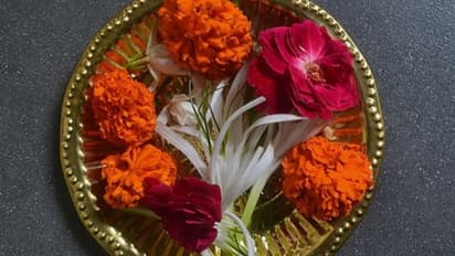 ভুলেও ঠাকুরের পুজোয় এই সব ফুল ব্যবহার করবেন না, আপনার অজান্তেই ঘটে যেতে পারে বিপদ