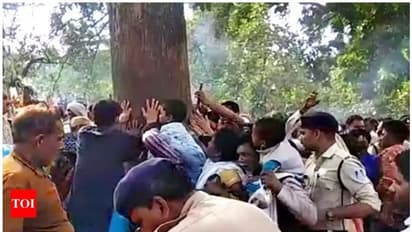 മഹുവാ വൃക്ഷത്തെ തൊടാൻ സമ്മതിച്ചില്ല; ​ഗ്രാമീണരുടെ ആക്രമണത്തിൽ 11 പൊലീസുകാർക്ക് പരിക്ക്