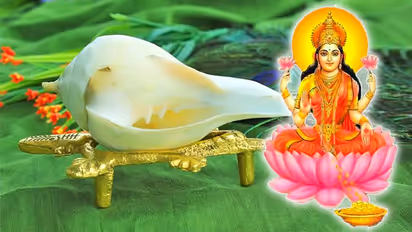 வீட்டு தலைவாசலில் சங்கு பதித்தால் இத்தனை சிறப்பு பலன்களை பெறலாமா? இது தெரியாம வீடு கட்டாதீங்க!! 