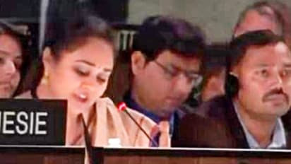 ಕತ್ತಲೆಯ ಛಾಯೆಗೆ ಪಾಕಿಸ್ತಾನ ತವರು: ಯುನೆಸ್ಕೊದಲ್ಲಿ ಭಾರತದ ತಪರಾಕಿ!