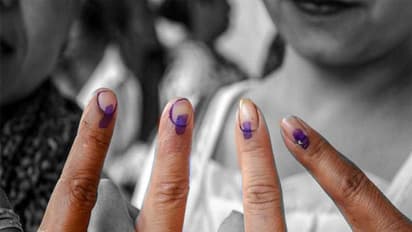 ಕೆ. ಆರ್. ಪೇಟೆ: ಪಕ್ಷೇತರ ಅಭ್ಯರ್ಥಿಯಾಗಿ ಸರ್ವೇ ದೇವೇಗೌಡ ನಾಮಪತ್ರ ಸಲ್ಲಿಕೆ