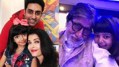 আরাধ্যার জন্মদিনের পার্টি, সেলিব্রেশনে মেতে দোলনাতে চেপে বসলেন অভিষেক