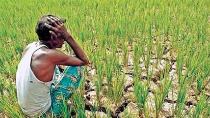 ಹಾವೇರಿ: ರೈತರ ಬದುಕು 2020 ರಲ್ಲಾದರೂ ಹಸನಾಗುತ್ತಾ?