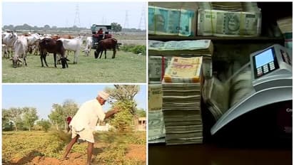 ഗ്രാമങ്ങൾ തളരുന്നു, പട്ടണി പെരുകുന്നു; എൻഎസ്ഒ റിപ്പോര്ട്ട് തടഞ്ഞ് കേന്ദ്ര സര്ക്കാര്