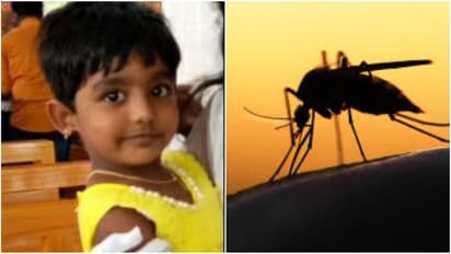 தொடரும் டெங்கு மரணங்கள்..! சென்னையில் 4 வயது சிறுமி பரிதாப பலி..!