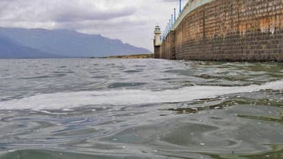 ಕಲಬುರಗಿ: ಈಜಲು ಹೋದ ಮೂವರು ಬಾಲಕರ ದುರ್ಮರಣ