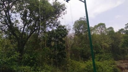 ಕೊಡಗು: ಕಾಡಾನೆ ದಾಳಿ ತಡೆಯಲು ಹಾಕಿದ್ದ ಸೌರ ಬೇಲಿ​ಗಳು ಕಾಡುಪಾಲು!