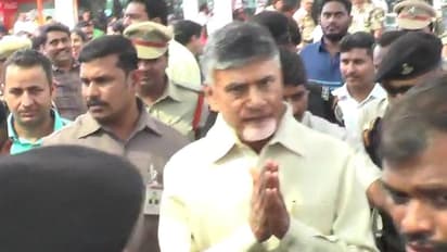 చింతమనేనిని ఆదర్శమా ?. చంద్రబాబుకు సిగ్గుందా!: వైసీపీ ఎమ్మెల్యే