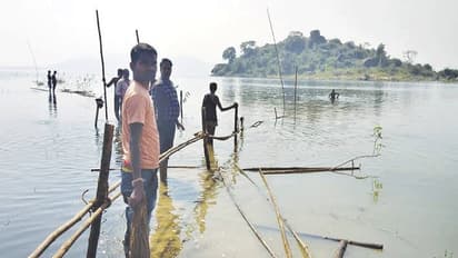 2 महीने से एक टापू पर भूखे फंसे हैं 100 से ज्यादा बंदर, चारों तरफ पानी..इनको 'भगवान राम' का इंतजार