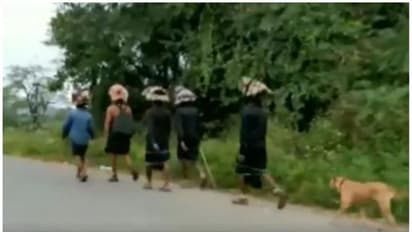 കാല്നടയായി ശബരിമല യാത്ര, ഭക്തര്ക്കൊപ്പം 480 കിലോമീറ്റര് പിന്നിട്ട് മലചവിട്ടാന് നായയും