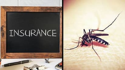 ಈ ಕಂಪೆನಿಯಲ್ಲಿ ಸೊಳ್ಳೆ ಕಡಿತಕ್ಕೂ 1 ಲಕ್ಷ ಮೊತ್ತದ ವಿಮೆ!