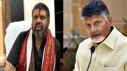 బీజేపీ- వైసీపీల మధ్య చెడితే....దూరేందుకు బాబు రెడీ: అవంతి వ్యాఖ్యలు