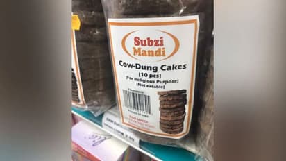 ചാണകം കൊണ്ട് 'കേക്ക്'; ഇവിടെയൊന്നുമല്ല, അങ്ങ് അമേരിക്കയിലാണ്!