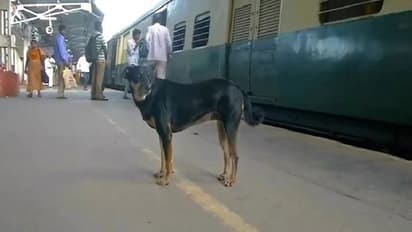 ಚೆನ್ನೈ ರೈಲು ನಿಲ್ದಾಣದಲ್ಲಿ ಎಚ್ಚರಿಕೆ ನೀಡುತ್ತೆ ಈ ಶ್ವಾನ!