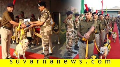 ಯೋಧರಾಗಿ ನಿವೃತ್ತಿ ಪಡೆದ ಶ್ವಾನಗಳಿಗೆ CISF ಗೌರವ ಪ್ರಧಾನ!