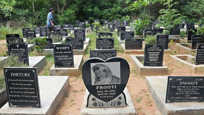 ബംഗളൂരുവില് വളര്ത്തു മൃഗങ്ങള്ക്കായി ഒരു 'മതസൗഹാര്ദ്ദ' സെമിത്തേരി!