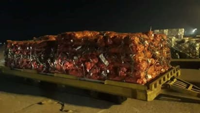 বাংলাদেশে অগ্নিমূল্য পেঁয়াজ, সংকট কাটাতে ইমরানের শরনাপন্ন হাসিনা