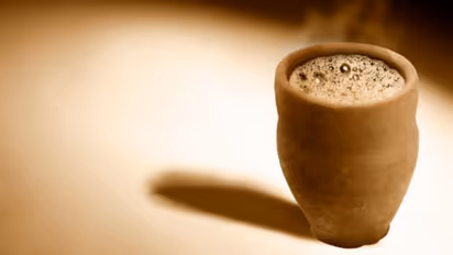 দুনিয়া মজেছে এই চায়ের স্বাদে, এবার বাড়িতেই আড্ডা জমুক তন্দুরি চায়ের সঙ্গে