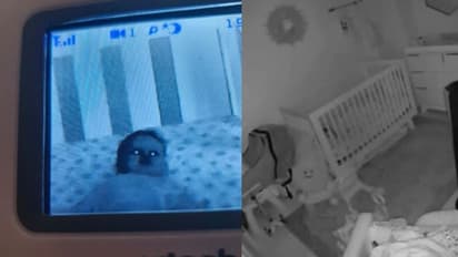 ছবিতে ঘুমন্ত শিশুকে দেখে চমকে উঠলেন মা, ভুতের ভয়ে সোশ্যাল মিডিয়ায় ছড়ালো আতঙ্ক