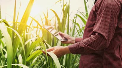 ರೈತರ ನೆರವಿಗೆ ಅಗ್ರಿ ವಾರ್ರೂಂ ಕಾರ್ಯಾರಂಭ