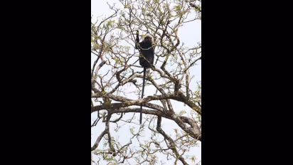 കാലാവസ്ഥ വ്യതിയാനം ജൈവവൈവിധ്യത്തെ  തുടച്ചുനീക്കുമെന്ന് പഠനം
