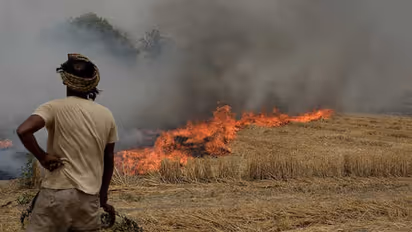 पराली जलाई तो नहीं मिलेगा इस योजना का लाभ, जानिए नया नियम
